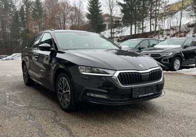Skoda Octavia Gebrauchtwagen