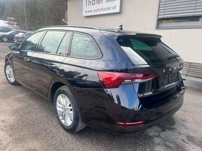 Skoda Octavia Gebrauchtwagen