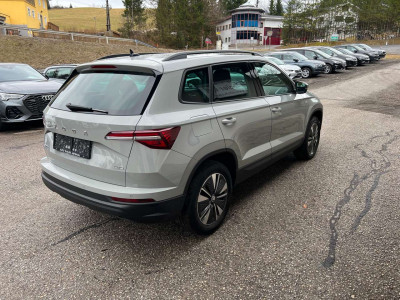 Skoda Karoq Gebrauchtwagen