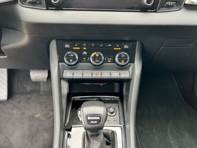 Skoda Karoq Gebrauchtwagen