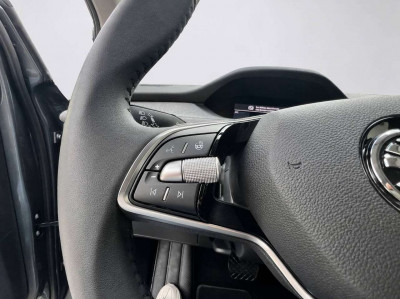 Skoda Enyaq Gebrauchtwagen Skoda Enyaq Gebrauchtwagen