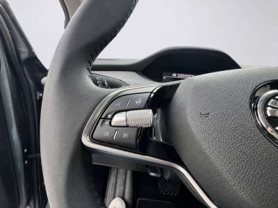 Skoda Enyaq Gebrauchtwagen