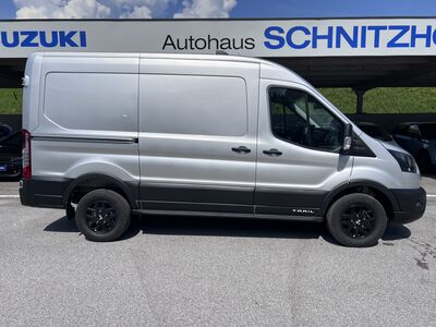 Ford Transit Tageszulassung