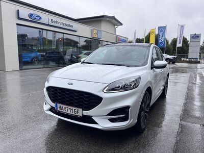 Ford Kuga Gebrauchtwagen