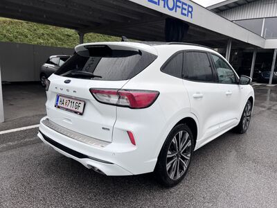 Ford Kuga Gebrauchtwagen