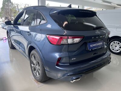 Ford Kuga Tageszulassung Ford Kuga Tageszulassung