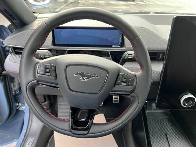 Ford Mustang Mach-E Gebrauchtwagen Ford Mustang Mach-E Gebrauchtwagen
