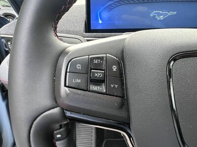 Ford Mustang Mach-E Gebrauchtwagen Ford Mustang Mach-E Gebrauchtwagen