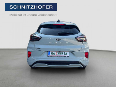 Ford Puma Vorführwagen Ford Puma Vorführwagen