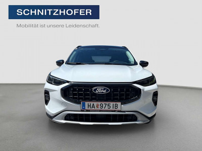 Ford Kuga Gebrauchtwagen