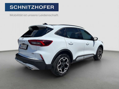 Ford Kuga Gebrauchtwagen