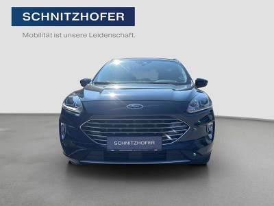 Ford Kuga Gebrauchtwagen