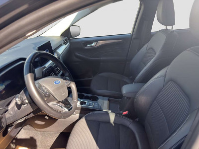 Ford Kuga Gebrauchtwagen Ford Kuga Gebrauchtwagen