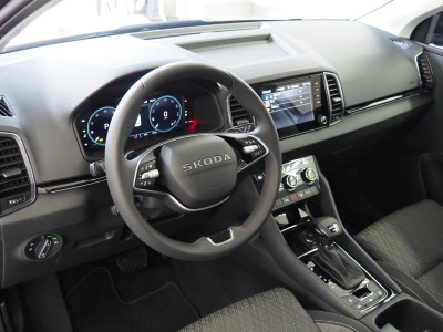 Skoda Karoq Gebrauchtwagen