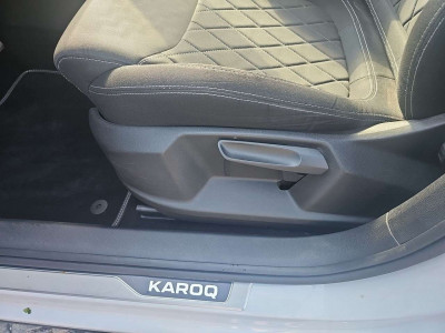 Skoda Karoq Gebrauchtwagen