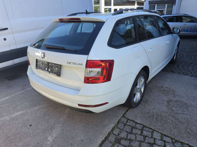 Skoda Octavia Gebrauchtwagen Skoda Octavia Gebrauchtwagen