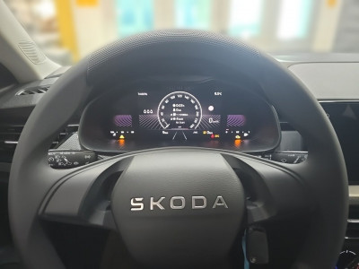 Skoda Kamiq Gebrauchtwagen Skoda Kamiq Gebrauchtwagen