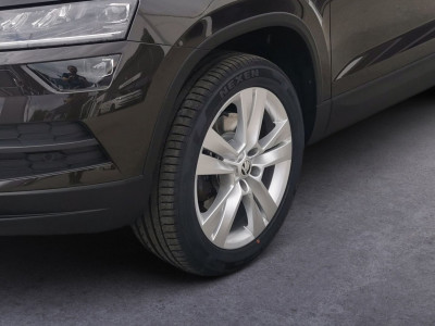 Skoda Karoq Gebrauchtwagen Skoda Karoq Gebrauchtwagen