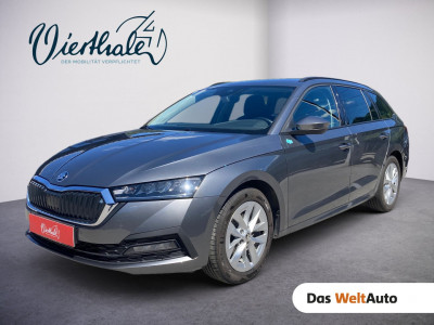 Skoda Octavia Gebrauchtwagen Skoda Octavia Gebrauchtwagen