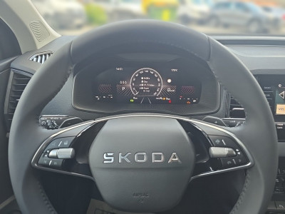 Skoda Karoq Gebrauchtwagen Skoda Karoq Gebrauchtwagen