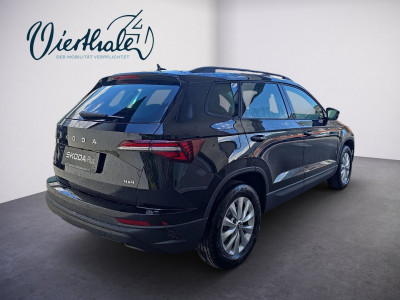 Skoda Karoq Gebrauchtwagen Skoda Karoq Gebrauchtwagen