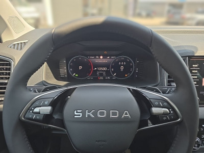 Skoda Karoq Gebrauchtwagen Skoda Karoq Gebrauchtwagen