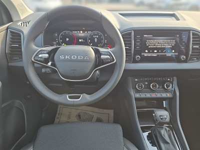 Skoda Karoq Gebrauchtwagen Skoda Karoq Gebrauchtwagen