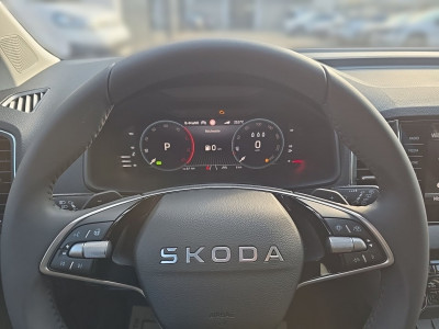 Skoda Karoq Gebrauchtwagen Skoda Karoq Gebrauchtwagen