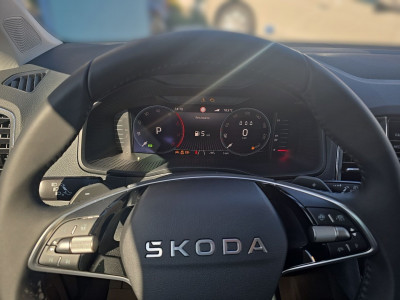 Skoda Karoq Gebrauchtwagen