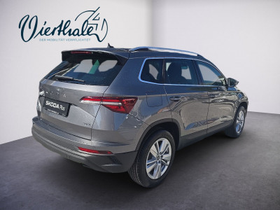Skoda Karoq Gebrauchtwagen