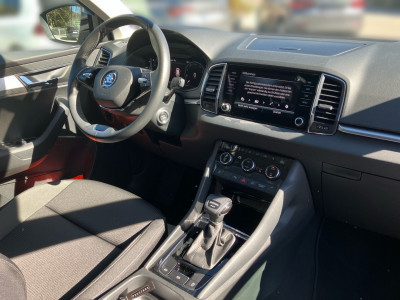 Skoda Karoq Gebrauchtwagen