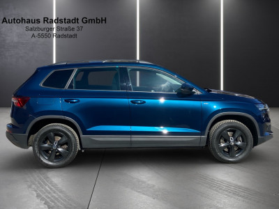 Skoda Karoq Gebrauchtwagen
