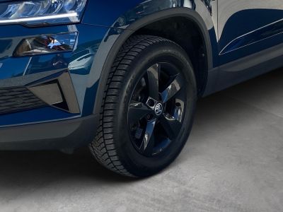 Skoda Karoq Gebrauchtwagen Skoda Karoq Gebrauchtwagen