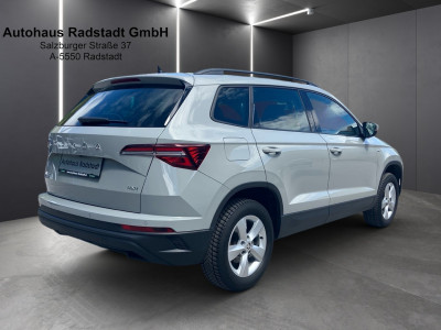 Skoda Karoq Gebrauchtwagen Skoda Karoq Gebrauchtwagen