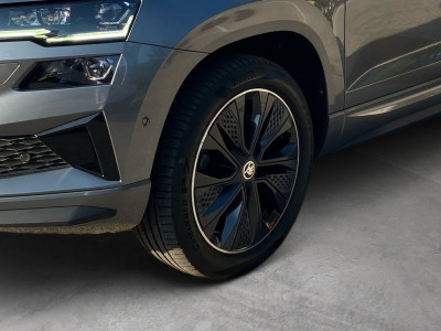 Skoda Karoq Gebrauchtwagen Skoda Karoq Gebrauchtwagen