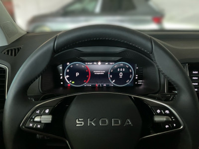 Skoda Karoq Gebrauchtwagen