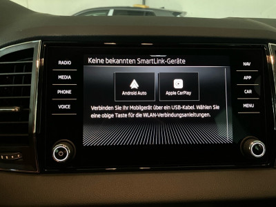Skoda Karoq Gebrauchtwagen