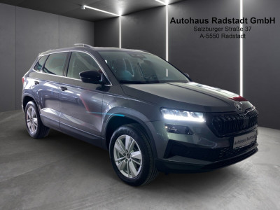 Skoda Karoq Gebrauchtwagen