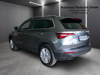 Skoda Karoq Gebrauchtwagen