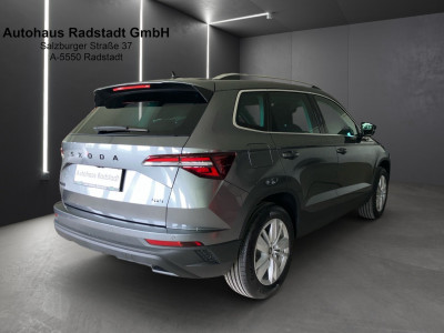 Skoda Karoq Gebrauchtwagen