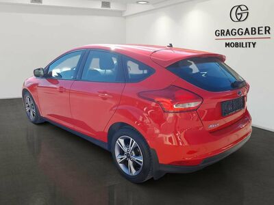 Ford Focus Gebrauchtwagen