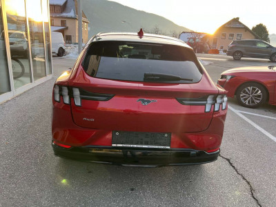 Ford Mustang Mach-E Gebrauchtwagen