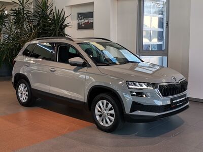 Skoda Karoq Gebrauchtwagen Skoda Karoq Gebrauchtwagen
