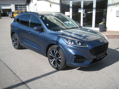 Ford Kuga Gebrauchtwagen