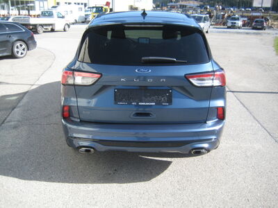 Ford Kuga Gebrauchtwagen