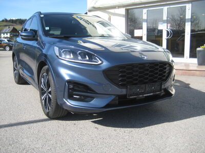 Ford Kuga Gebrauchtwagen