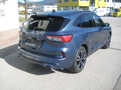 Ford Kuga Gebrauchtwagen