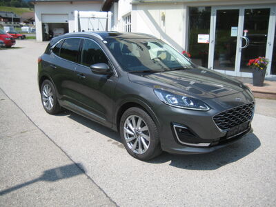 Ford Kuga Gebrauchtwagen