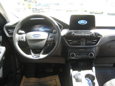 Ford Kuga Gebrauchtwagen Ford Kuga Gebrauchtwagen