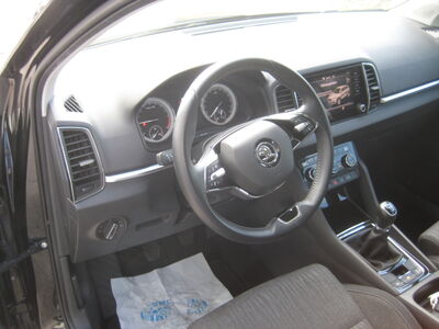 Skoda Karoq Gebrauchtwagen